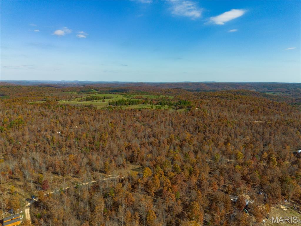 15682 Winding Trail Birch Tree, MO 65438 - Photo 12 of 26