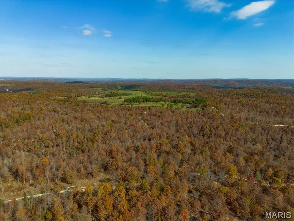 $41,999 | 15682 Winding Trail, Birch Tree, MO 65438