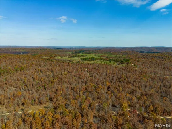$41,999 | 15682 Winding Trail, Birch Tree, MO 65438
