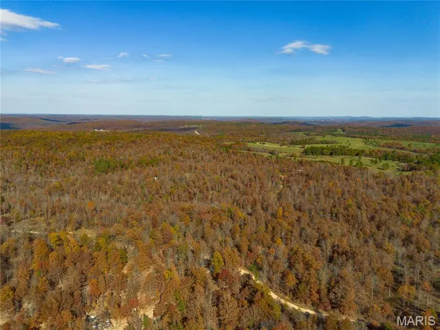 $47,900 | 15682 Winding Trail, Birch Tree, MO 65438