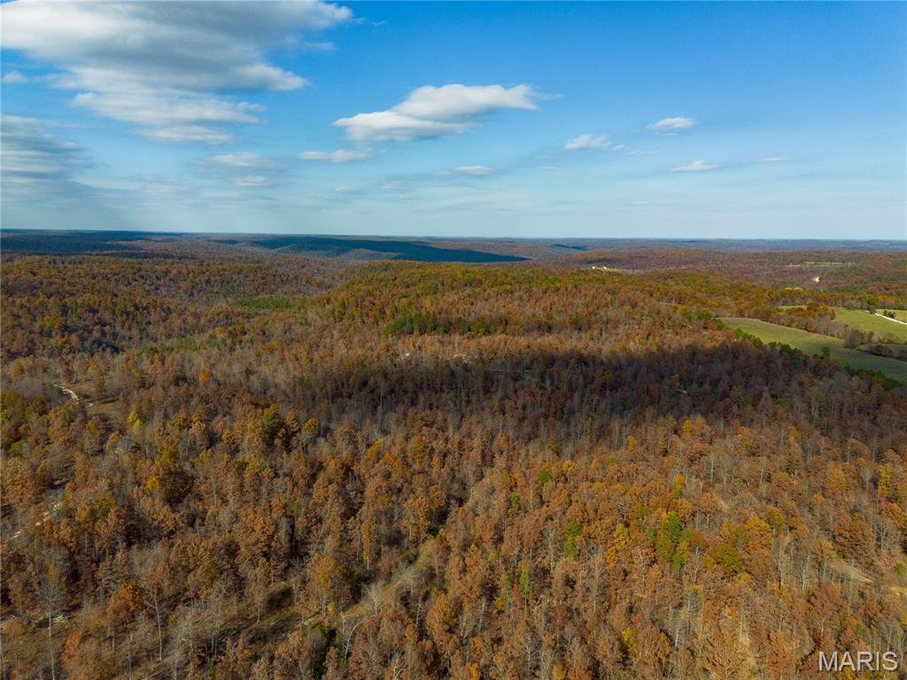 15682 Winding Trail Birch Tree, MO 65438 - Photo 17 of 26