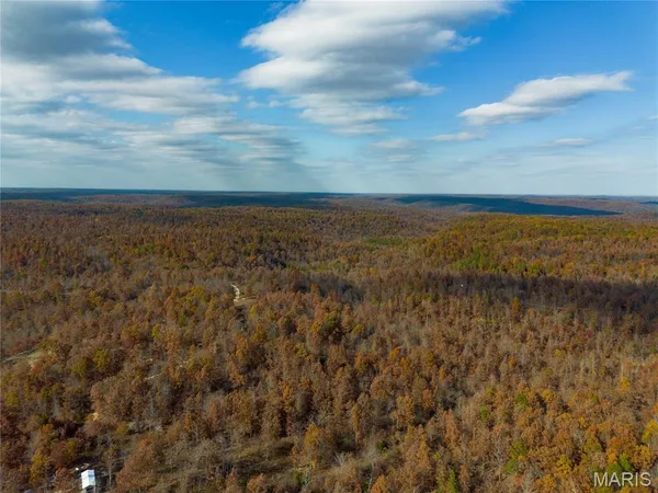 $41,999 | 15682 Winding Trail, Birch Tree, MO 65438