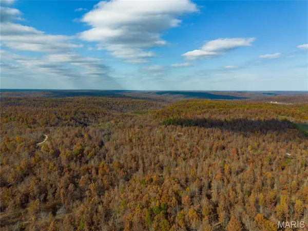 $35,500 | 15682 Winding Trail, Birch Tree, MO 65438