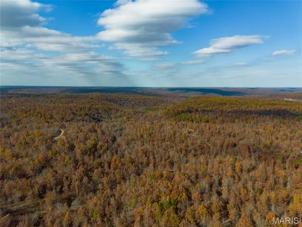 $41,999 | 15682 Winding Trail, Birch Tree, MO 65438