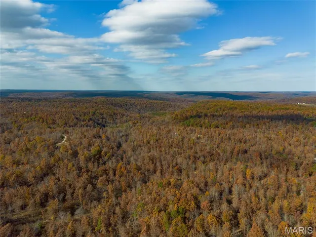 $47,900 | 15682 Winding Trail, Birch Tree, MO 65438