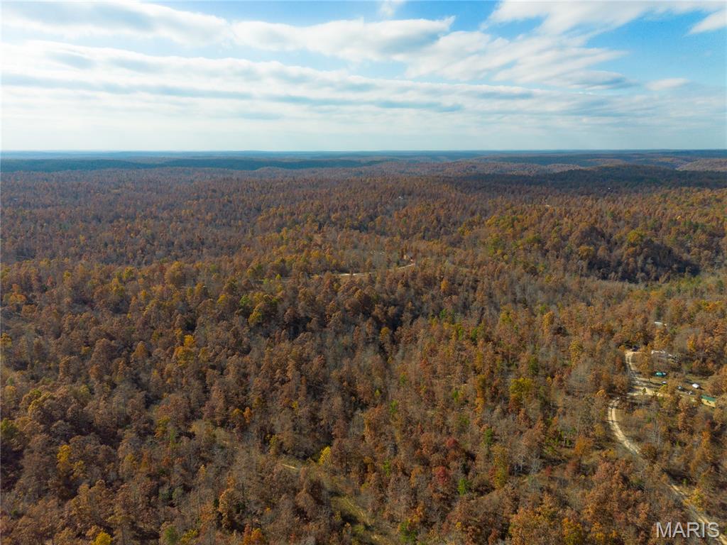 15682 Winding Trail Birch Tree, MO 65438 - Photo 2 of 26