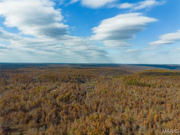 $41,999 | 15682 Winding Trail, Birch Tree, MO 65438