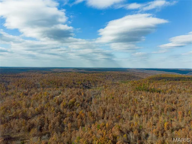 $47,900 | 15682 Winding Trail, Birch Tree, MO 65438