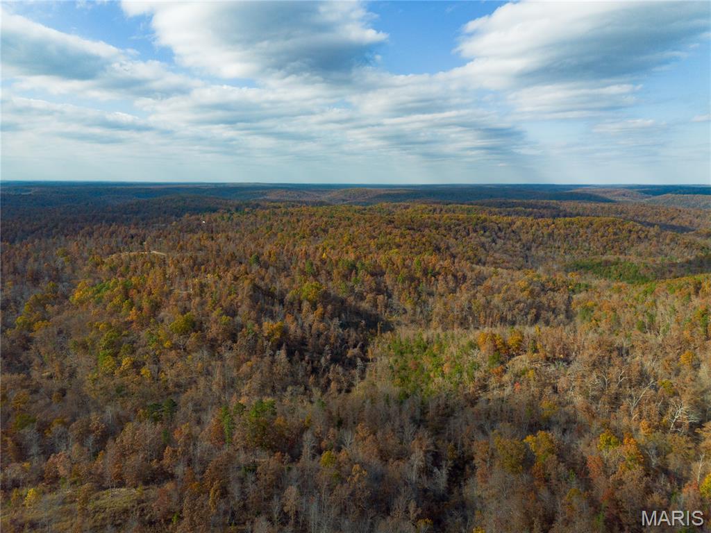 15682 Winding Trail Birch Tree, MO 65438 - Photo 22 of 26