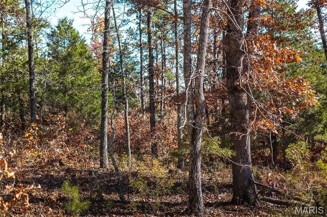 $47,900 | 15682 Winding Trail, Birch Tree, MO 65438