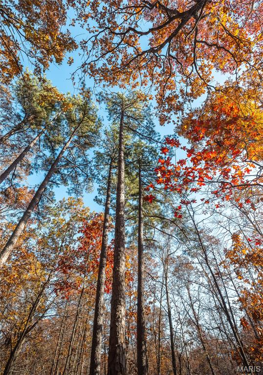 15682 Winding Trail Birch Tree, MO 65438 - Photo 26 of 26