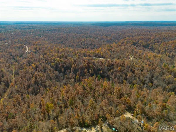 $41,999 | 15682 Winding Trail, Birch Tree, MO 65438