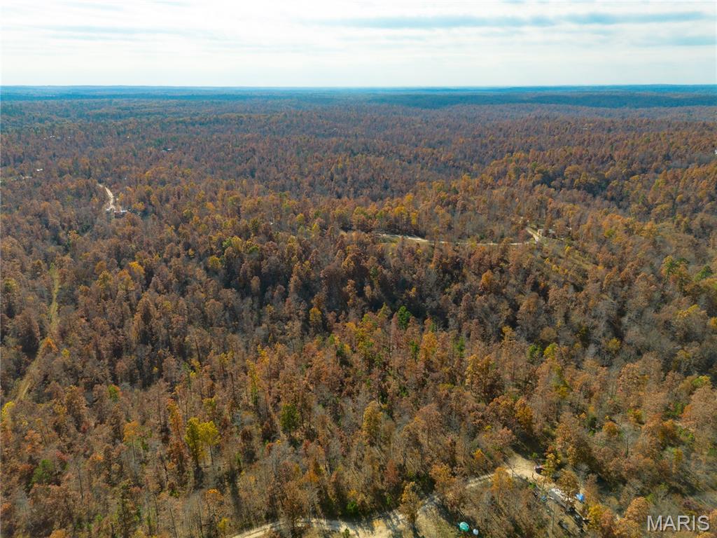 15682 Winding Trail Birch Tree, MO 65438 - Photo 3 of 26