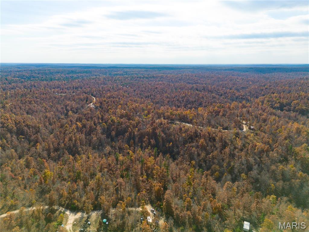 15682 Winding Trail Birch Tree, MO 65438 - Photo 4 of 26