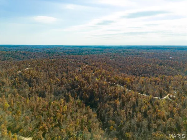 $41,999 | 15682 Winding Trail, Birch Tree, MO 65438