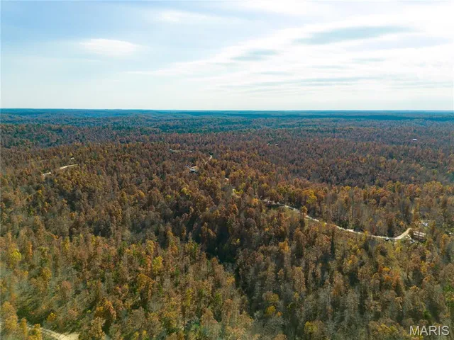 $47,900 | 15682 Winding Trail, Birch Tree, MO 65438