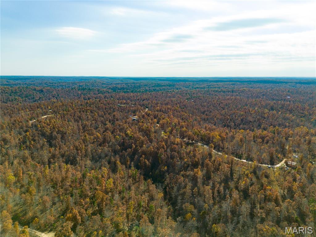 15682 Winding Trail Birch Tree, MO 65438 - Photo 5 of 26