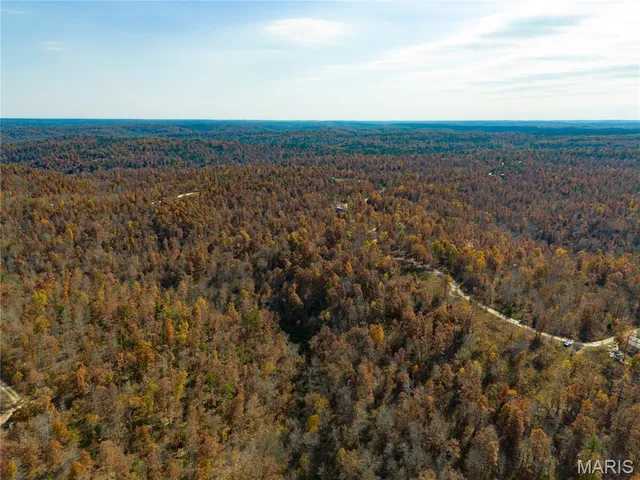 $47,900 | 15682 Winding Trail, Birch Tree, MO 65438