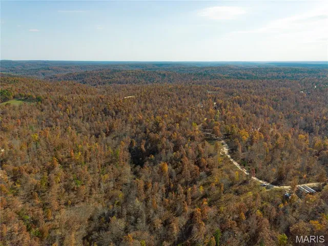 $47,900 | 15682 Winding Trail, Birch Tree, MO 65438