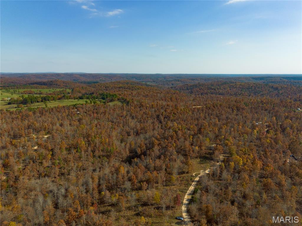 15682 Winding Trail Birch Tree, MO 65438 - Photo 9 of 26