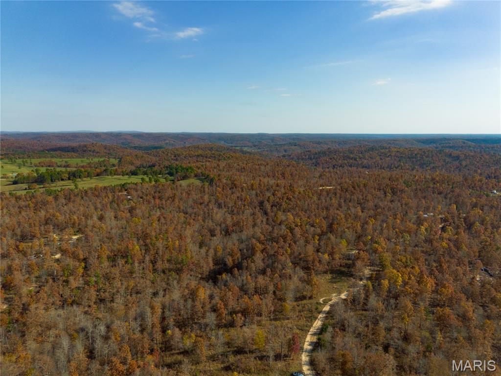 15682 Winding Trail Birch Tree, MO 65438 - Photo 10 of 26