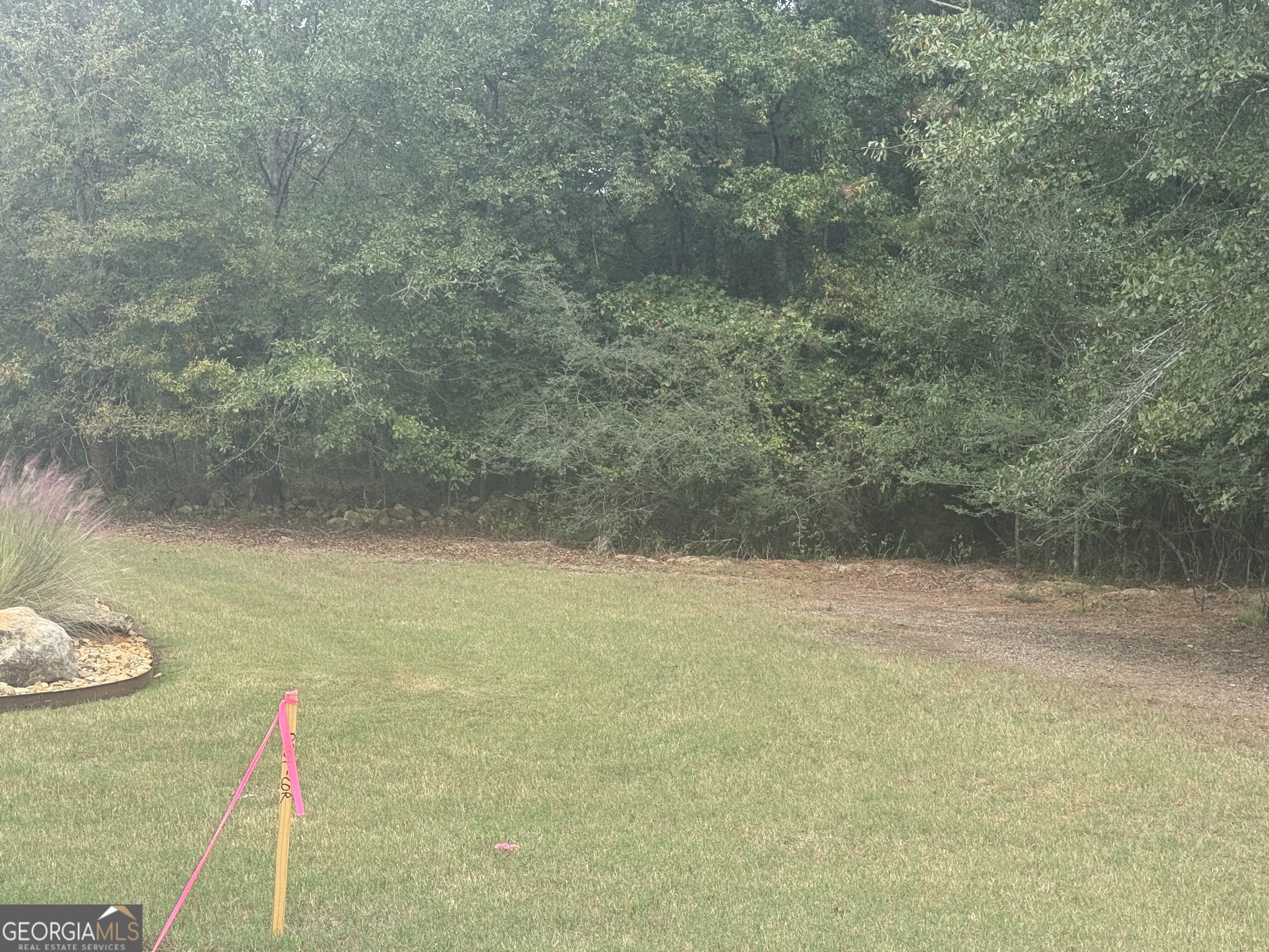 0 Hodges Farm Road Mansfield, GA 30055 - Photo 3 of 4 a view of a lake view