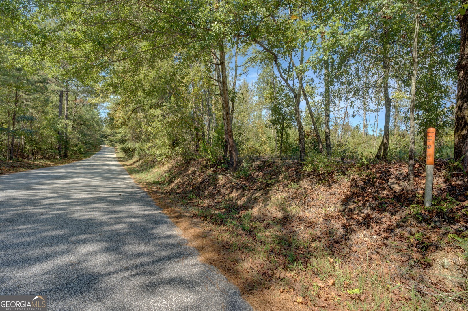 0 Hodges Farm Road Mansfield, GA 30055 - Photo 4 of 4 a view of outdoor space and trees