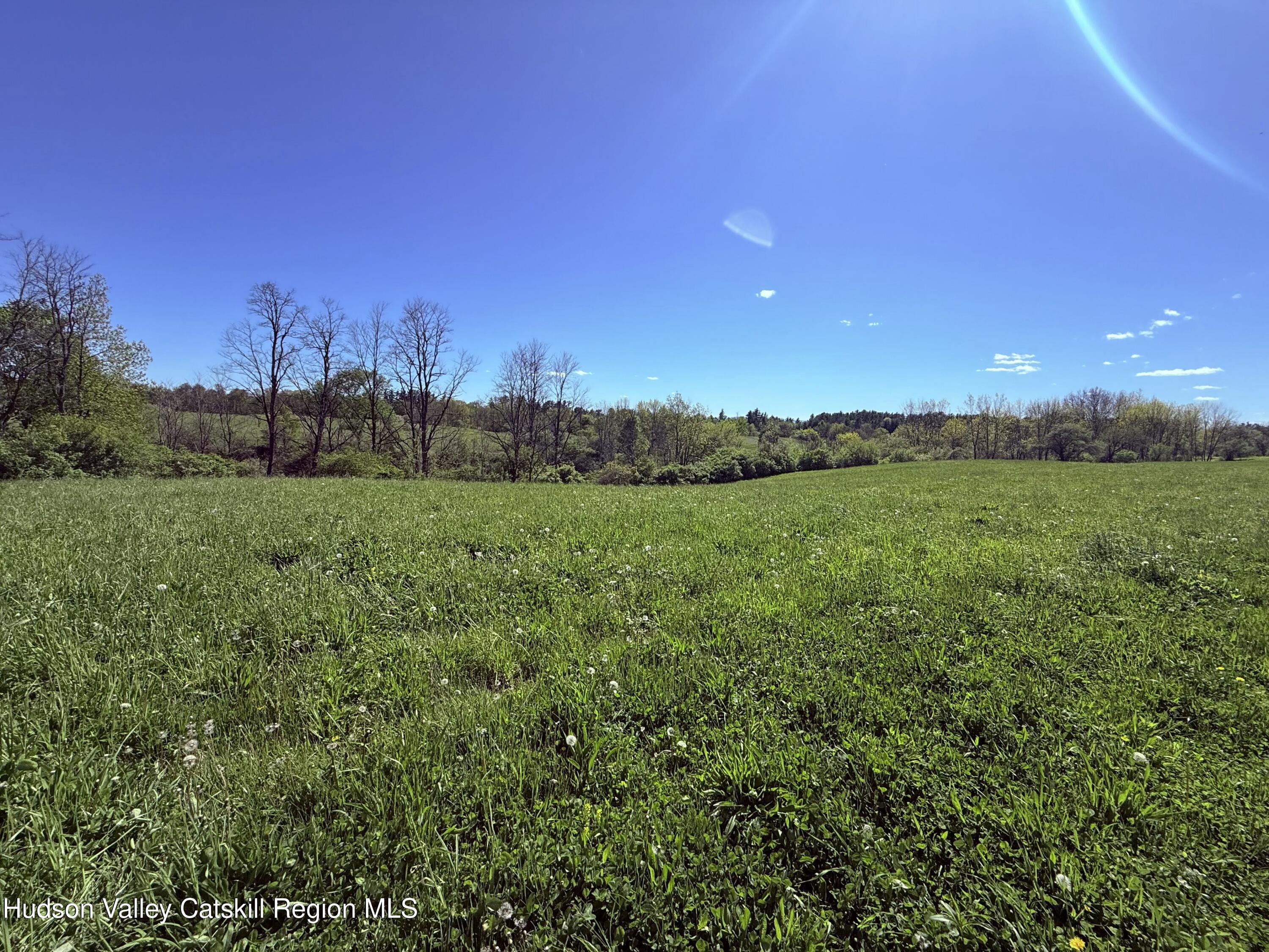 Tbd Nalen Road Kinderhook, NY 12106 - Photo 2 of 7 a view of a lush green space