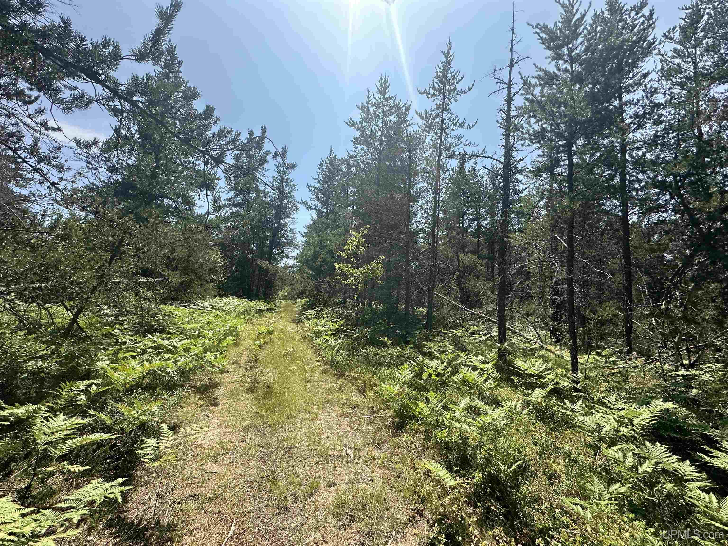 2020-2050 Co Road Little Lake, MI 49833 - Photo 39 of 39