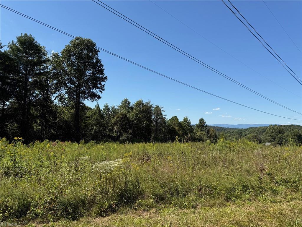Lot 12 Smith Ridgecrest Road North Wilkesboro, NC 28659 - Photo 5 of 6