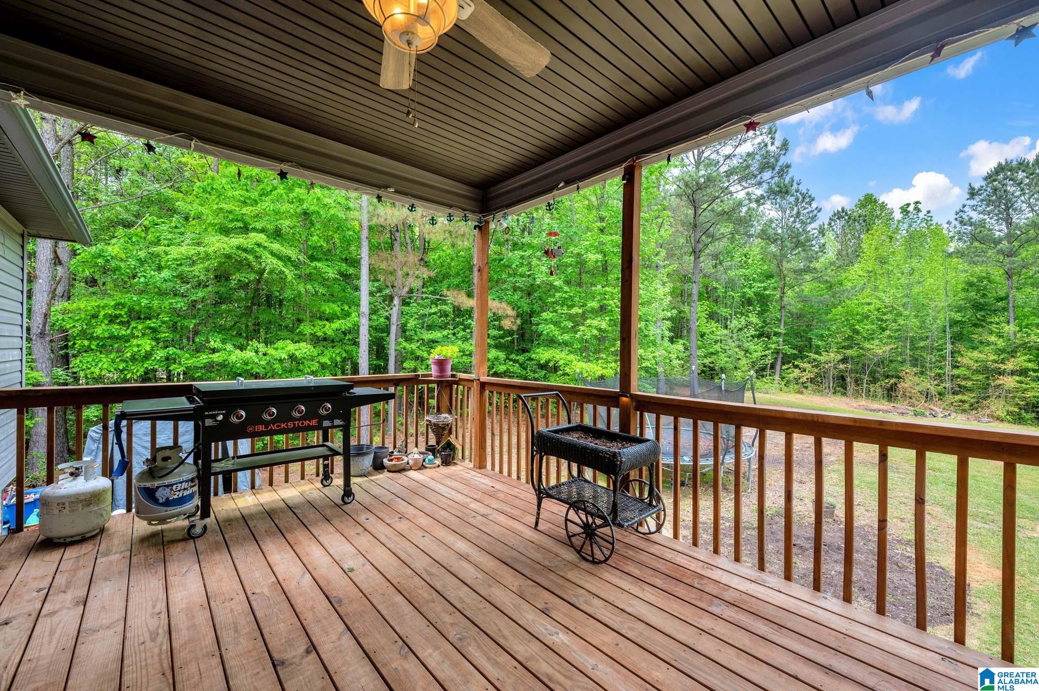 54 Tyler Road Remlap, AL 35133 - Photo 23 of 33 Gallery Image 23