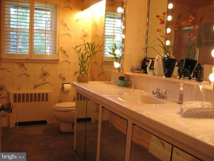 2309 Farringdon Road Baltimore, MD 21209 - Photo 11 of 12 Bath #1
