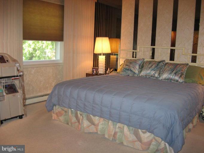 2309 Farringdon Road Baltimore, MD 21209 - Photo 6 of 12 Master Bedroom