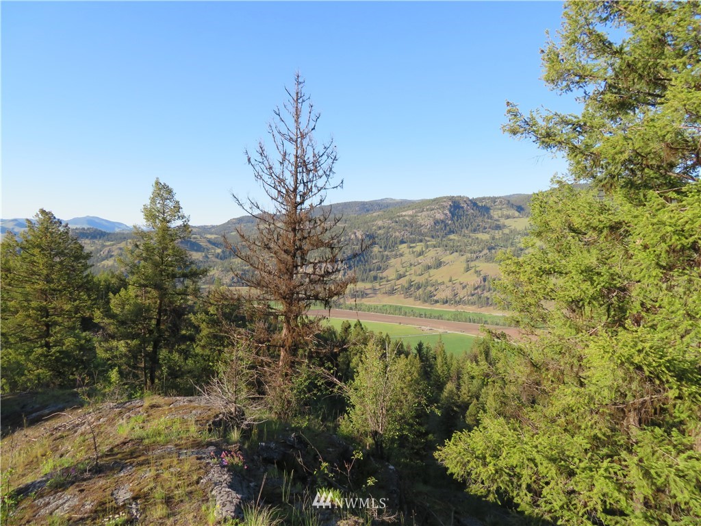 0 Bamber Creek Road Curlew, WA 99118 - Photo 11 of 18 Gallery Image 11