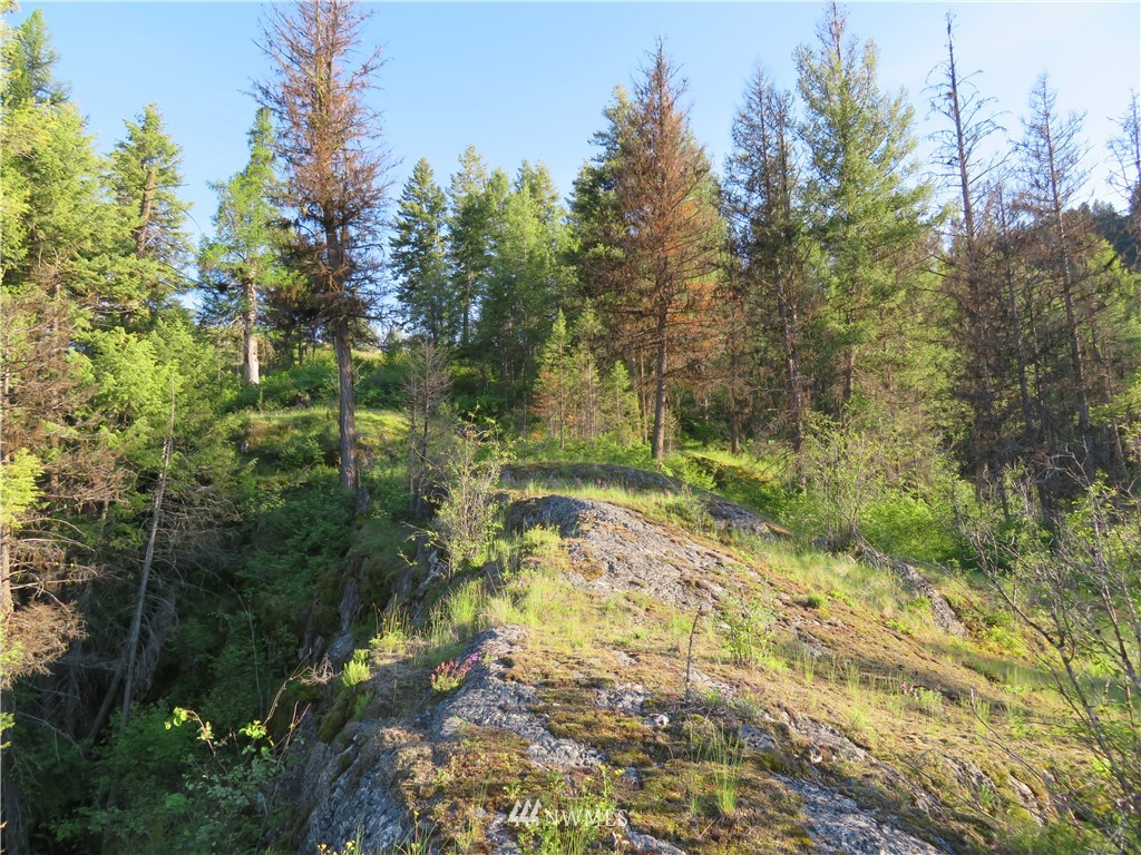0 Bamber Creek Road Curlew, WA 99118 - Photo 12 of 18 Gallery Image 12