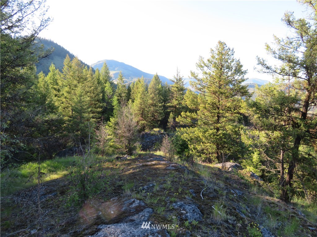 0 Bamber Creek Road Curlew, WA 99118 - Photo 13 of 18 Gallery Image 13