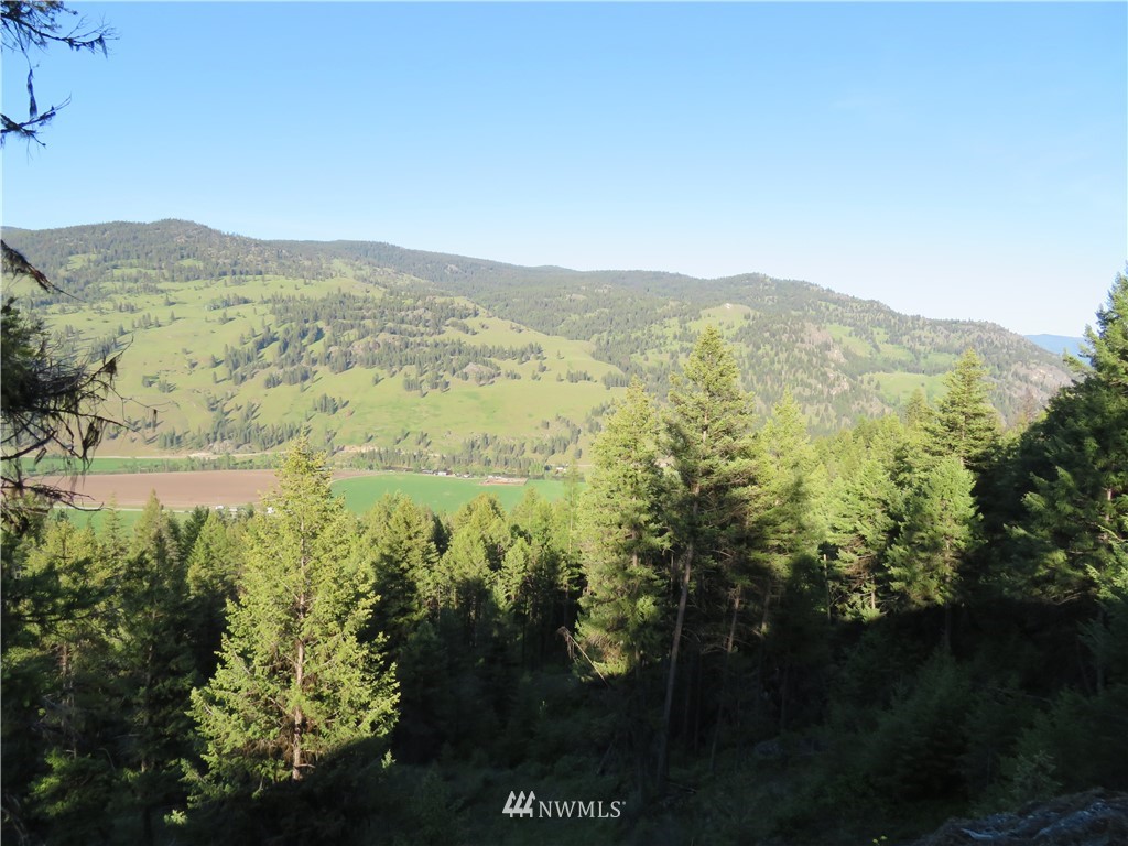 0 Bamber Creek Road Curlew, WA 99118 - Photo 14 of 18 Gallery Image 14