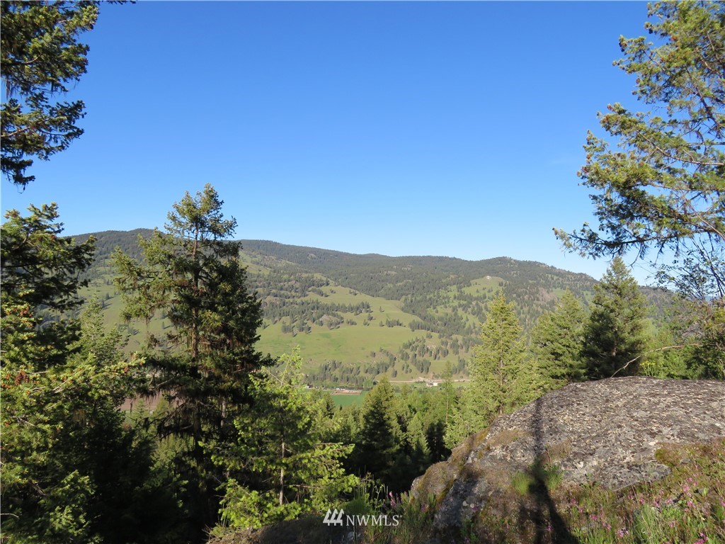 0 Bamber Creek Road Curlew, WA 99118 - Photo 15 of 18 Gallery Image 15