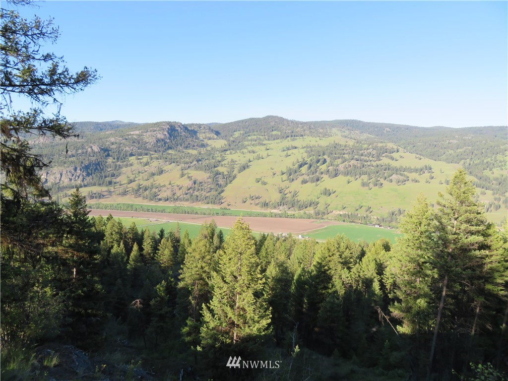 0 Bamber Creek Road Curlew, WA 99118 - Photo 4 of 18 Gallery Image 4