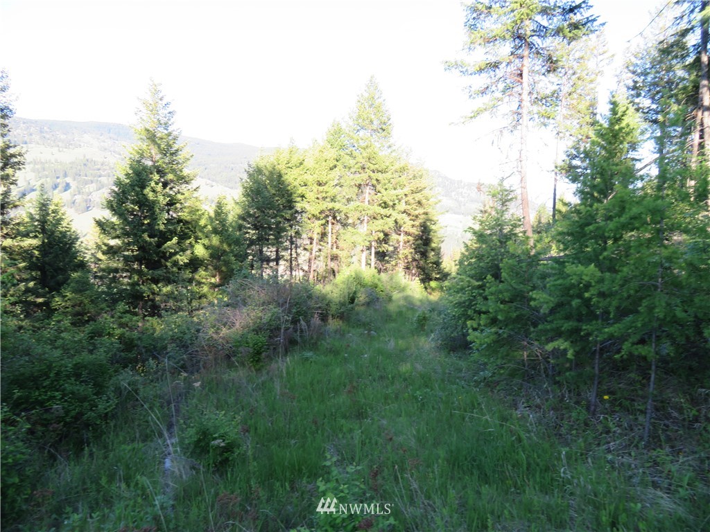 0 Bamber Creek Road Curlew, WA 99118 - Photo 6 of 18 Gallery Image 6