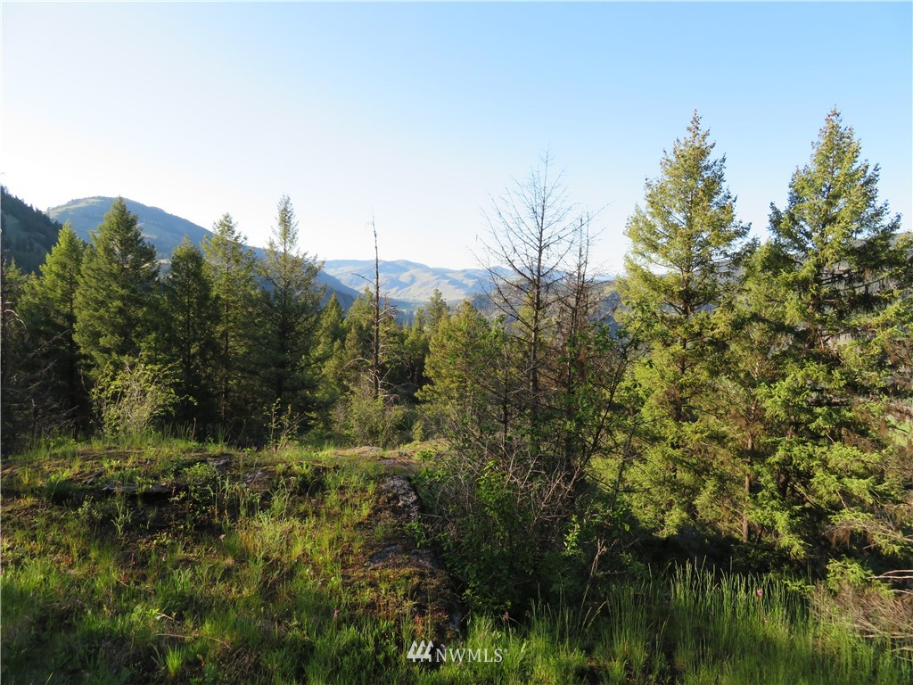 0 Bamber Creek Road Curlew, WA 99118 - Photo 8 of 18 Gallery Image 8