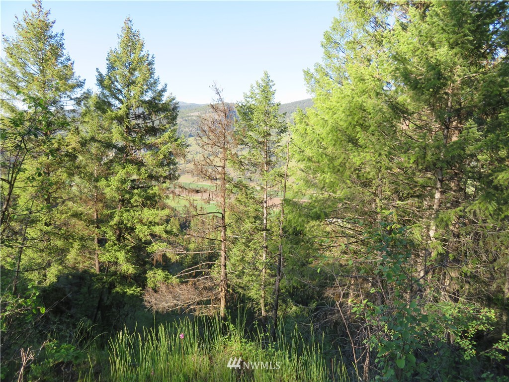 0 Bamber Creek Road Curlew, WA 99118 - Photo 9 of 18 Gallery Image 9