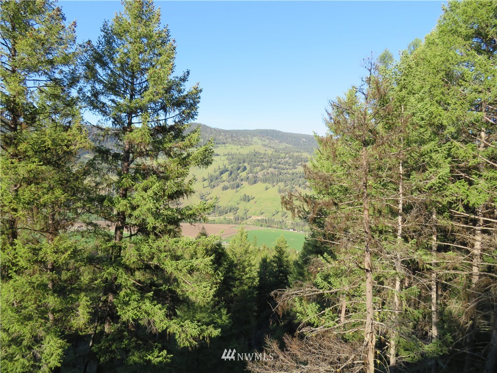 0 Bamber Creek Road Curlew, WA 99118 - Photo 10 of 18 Gallery Image 10