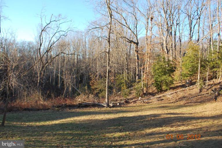 43500 Little Cliffs Road Hollywood, MD 20636 - Photo 24 of 30 Exterior (General)