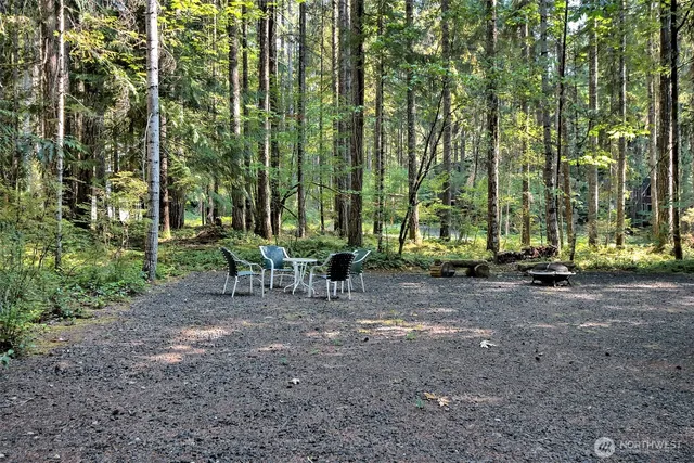a view of a park with large trees