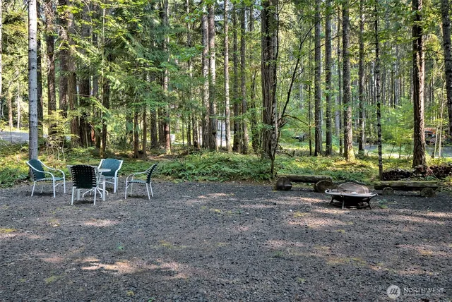a view of a park with large trees