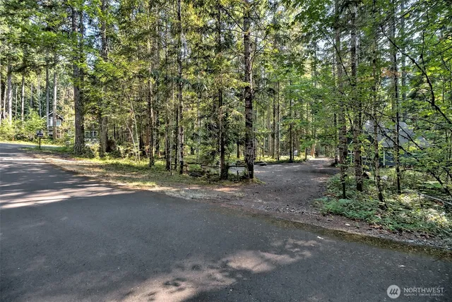 a view of road with trees