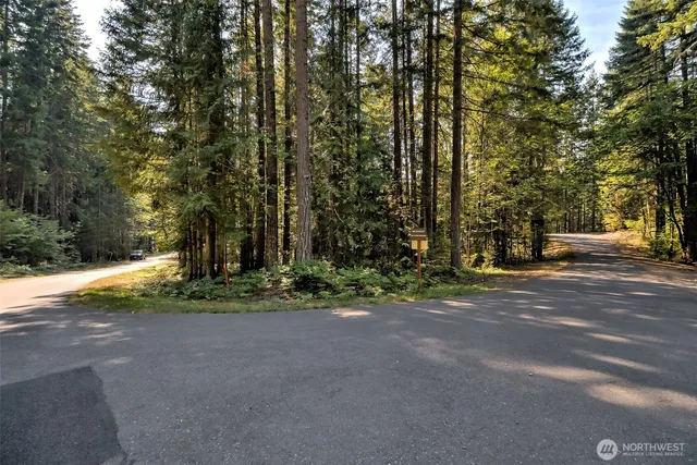 a view of road with trees