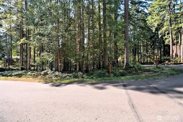a view of a tree in front of a house