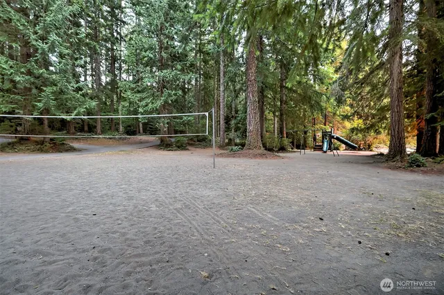 a view of a park with large trees